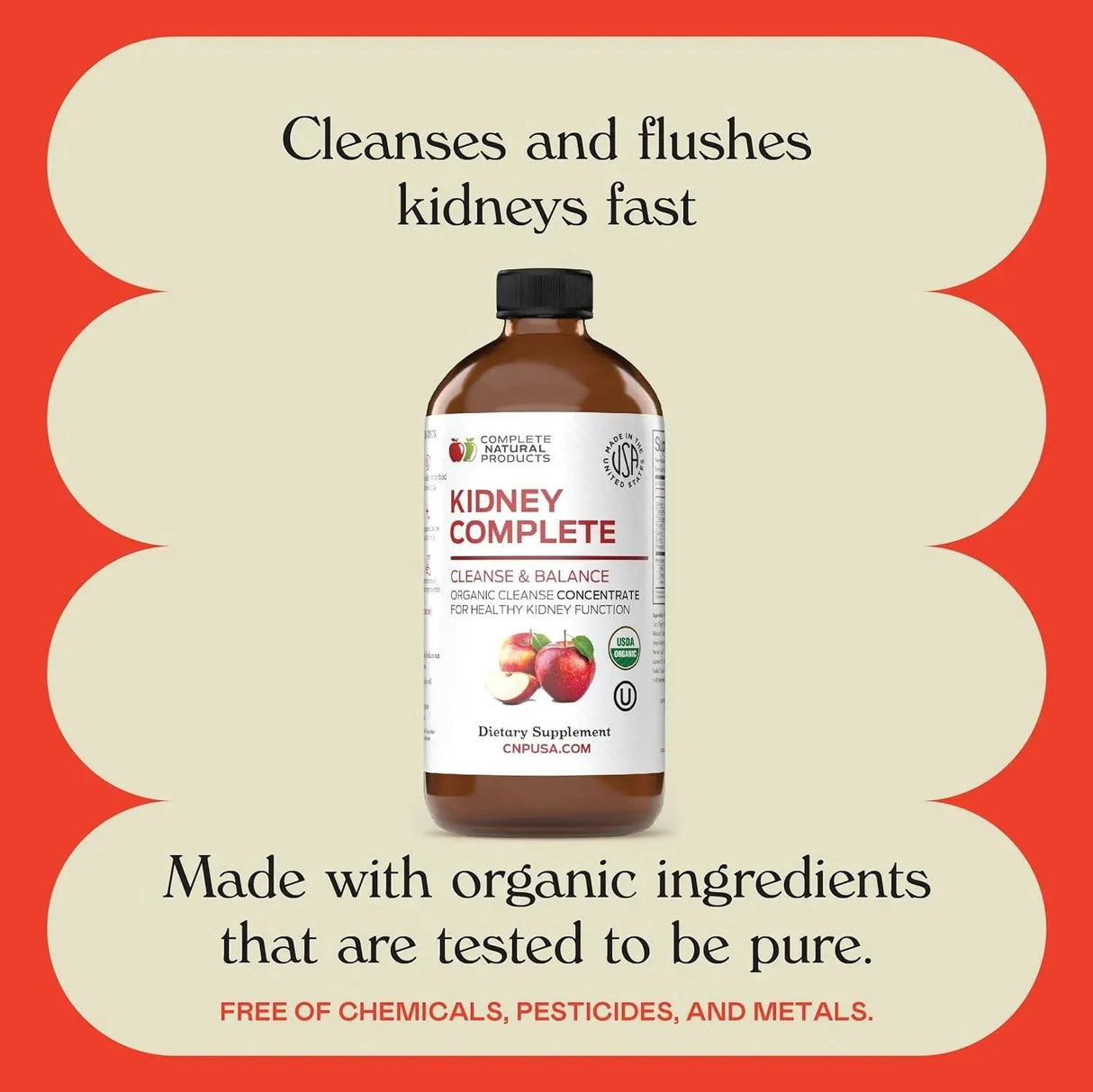 COMPLETE NATURAL PRODUCTS - Complete Natural Products Kidney Complete 16 Fl.Oz. - The Red Vitamin MX - Suplementos Alimenticios - {{ shop.shopifyCountryName }}