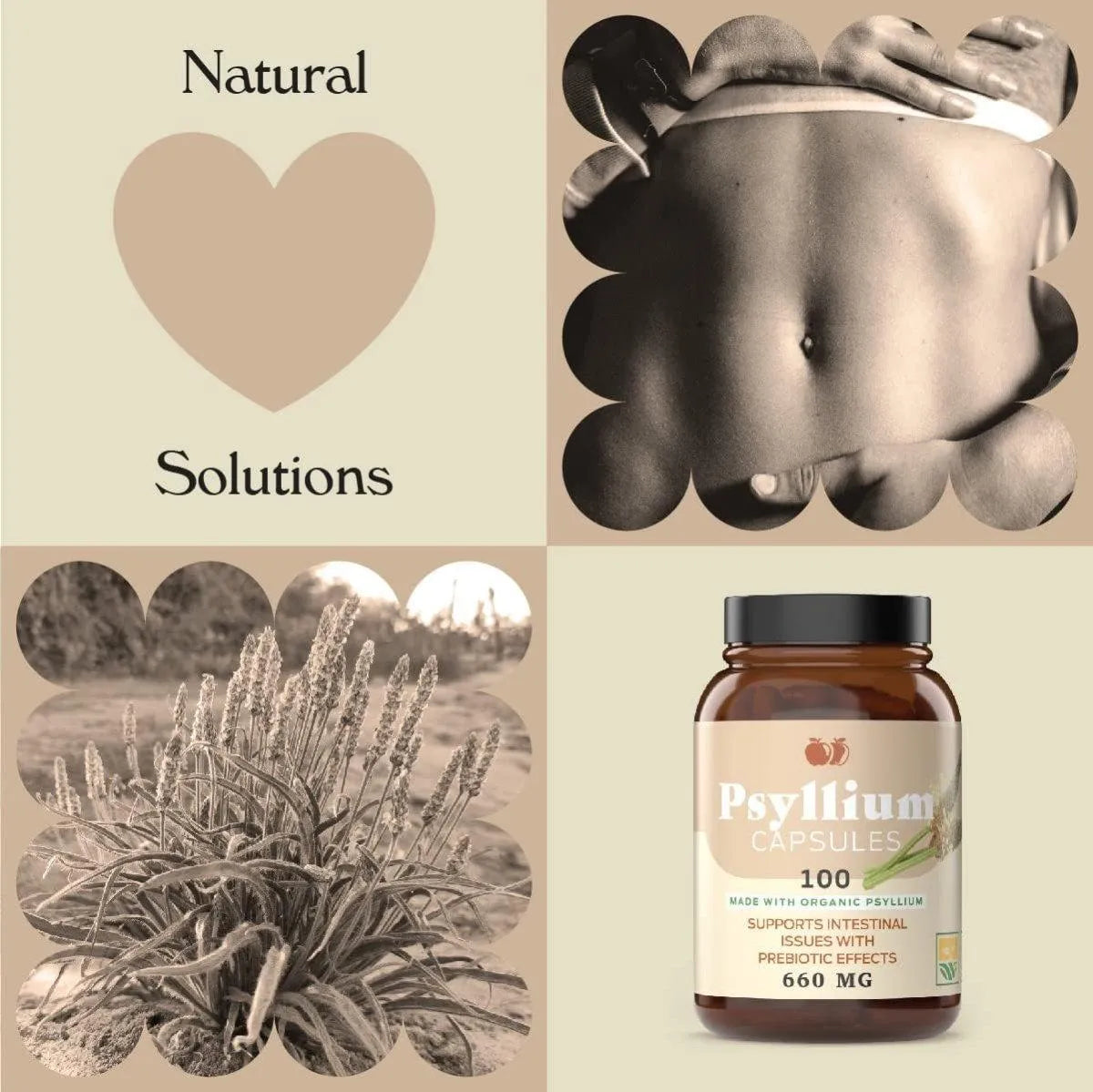 COMPLETE NATURAL PRODUCTS - Complete Natural Products Psyllium Husk Powder 660Mg. 100 Capsulas - The Red Vitamin MX - Suplementos Alimenticios - {{ shop.shopifyCountryName }}