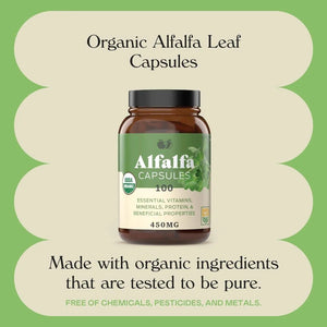 COMPLETE NATURAL PRODUCTS - Complete Natural Products Pure Alfalfa Leaf 630Mg. 100 Capsulas - The Red Vitamin MX - Suplementos Alimenticios - {{ shop.shopifyCountryName }}