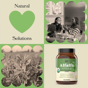 COMPLETE NATURAL PRODUCTS - Complete Natural Products Pure Alfalfa Leaf 630Mg. 100 Capsulas - The Red Vitamin MX - Suplementos Alimenticios - {{ shop.shopifyCountryName }}