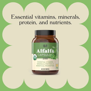 COMPLETE NATURAL PRODUCTS - Complete Natural Products Pure Alfalfa Leaf 630Mg. 100 Capsulas - The Red Vitamin MX - Suplementos Alimenticios - {{ shop.shopifyCountryName }}