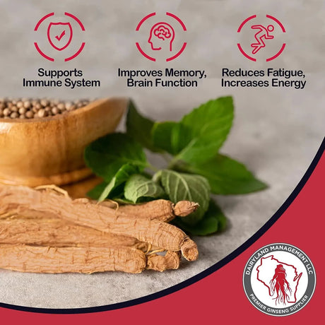 DAIRYLAND MANAGEMENT - Dairyland Management Panax Ginseng Slices 4 Oz. - The Red Vitamin MX - Suplementos Alimenticios - {{ shop.shopifyCountryName }}