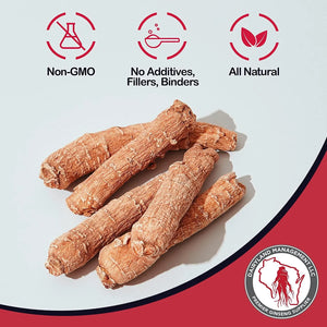 DAIRYLAND MANAGEMENT - Dairyland Management Panax Ginseng Slices 4 Oz. - The Red Vitamin MX - Suplementos Alimenticios - {{ shop.shopifyCountryName }}