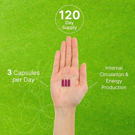 DEAL SUPPLEMENT - Deal Supplement Beet Root Capsules 30,000Mg. 360 Capsulas - The Red Vitamin MX - Suplementos Alimenticios - {{ shop.shopifyCountryName }}