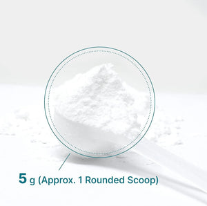 DEAL SUPPLEMENT - Deal Supplement Creatine Monohydrate Powder 60 Servicios 300Gr. - The Red Vitamin MX - Suplementos Alimenticios - {{ shop.shopifyCountryName }}