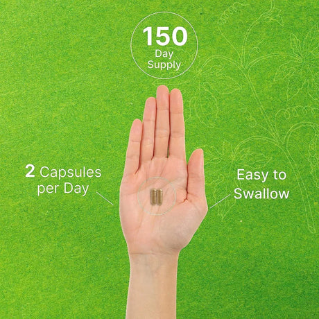 DEAL SUPPLEMENT - Deal Supplement Ginkgo Biloba 500Mg. 300 Capsulas - The Red Vitamin MX - Suplementos Alimenticios - {{ shop.shopifyCountryName }}