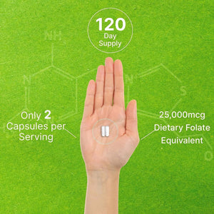 DEAL SUPPLEMENT - Deal Supplement L Methylfolate 15Mg. 240 Capsulas - The Red Vitamin MX - Suplementos Alimenticios - {{ shop.shopifyCountryName }}