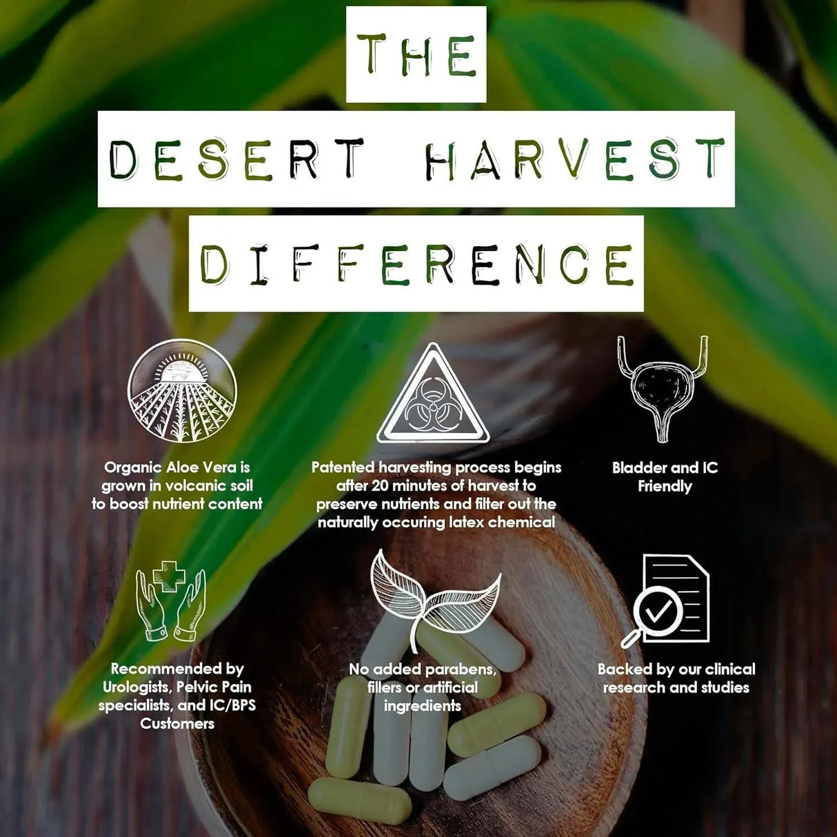 DESERT HARVEST - Desert Harvest Super-Strength Aloe Vera 600Mg. 180 Capsulas - The Red Vitamin MX - Suplementos Alimenticios - {{ shop.shopifyCountryName }}