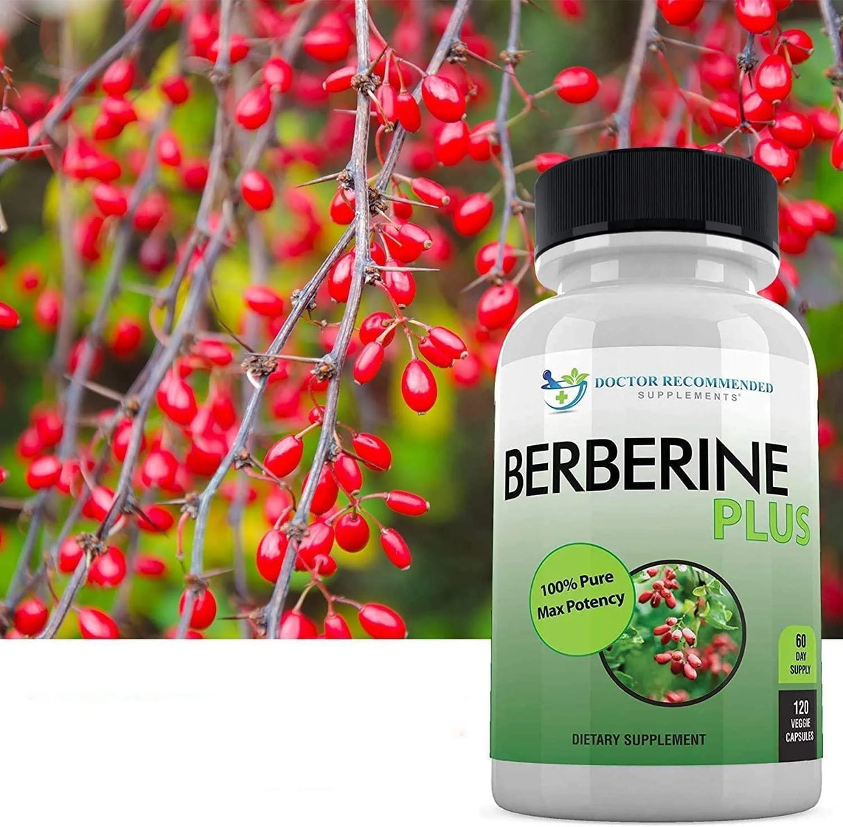 DOCTOR RECOMMENDED SUPPLEMENTS - DOCTOR RECOMMENDED SUPPLEMENTS Berberine Plus 1200Mg. 120 Capsulas - The Red Vitamin MX - Suplementos Alimenticios - {{ shop.shopifyCountryName }}