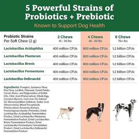 DOGGIE DAILIES - Doggie Dailies Probiotics for Dogs Pumpkin 225 Masticables - The Red Vitamin MX - Probióticos Para Perros - {{ shop.shopifyCountryName }}