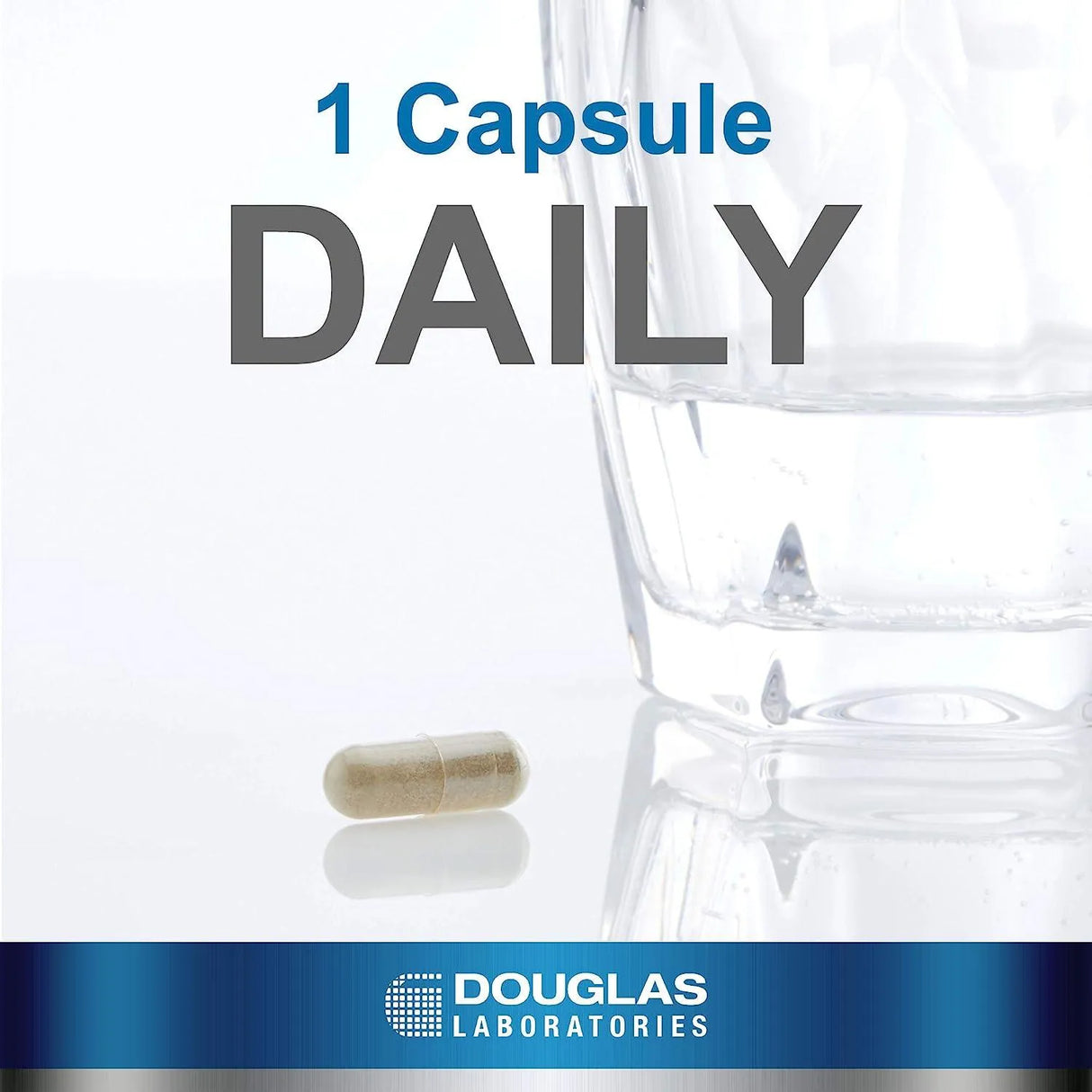 DOUGLAS LABORATORIES - Douglas Laboratories Hawthorne Max-V 60 Capsulas - The Red Vitamin MX - Suplementos Alimenticios - {{ shop.shopifyCountryName }}