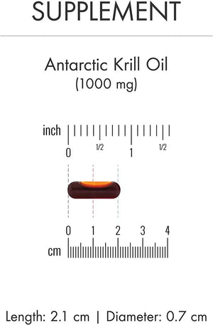 DR MERCOLA - Dr. Mercola Antarctic Krill Oil 60 Capsulas - The Red Vitamin MX - Suplementos Alimenticios - {{ shop.shopifyCountryName }}