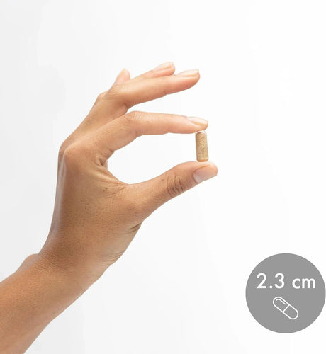 DR MERCOLA - Dr. Mercola Complete Probiotics 70 Billion CFU 30 Capsulas - The Red Vitamin MX - Suplementos Alimenticios - {{ shop.shopifyCountryName }}