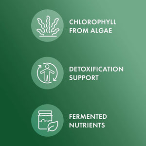 DR MERCOLA - Dr. Mercola Fermented Chlorella with Chlorophyll 450 Tabletas - The Red Vitamin MX - Suplementos Alimenticios - {{ shop.shopifyCountryName }}