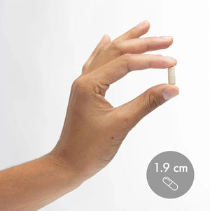 DR MERCOLA - Dr. Mercola Methyl Folate 5000mcg 30 Capsulas - The Red Vitamin MX - Suplementos Alimenticios - {{ shop.shopifyCountryName }}