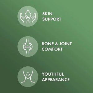 DR MERCOLA - Dr. Mercola Organic Bone Broth Collagen Powder Vanilla 30 Servicios 304.5 Gr. - The Red Vitamin MX - Suplementos Alimenticios - {{ shop.shopifyCountryName }}