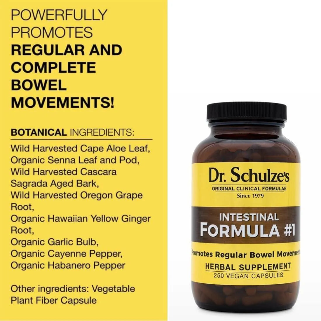 DR. SCHULZE'S - Dr. Schulze's Intestinal Formula #1 250 Capsulas - The Red Vitamin MX - Suplementos Alimenticios - {{ shop.shopifyCountryName }}