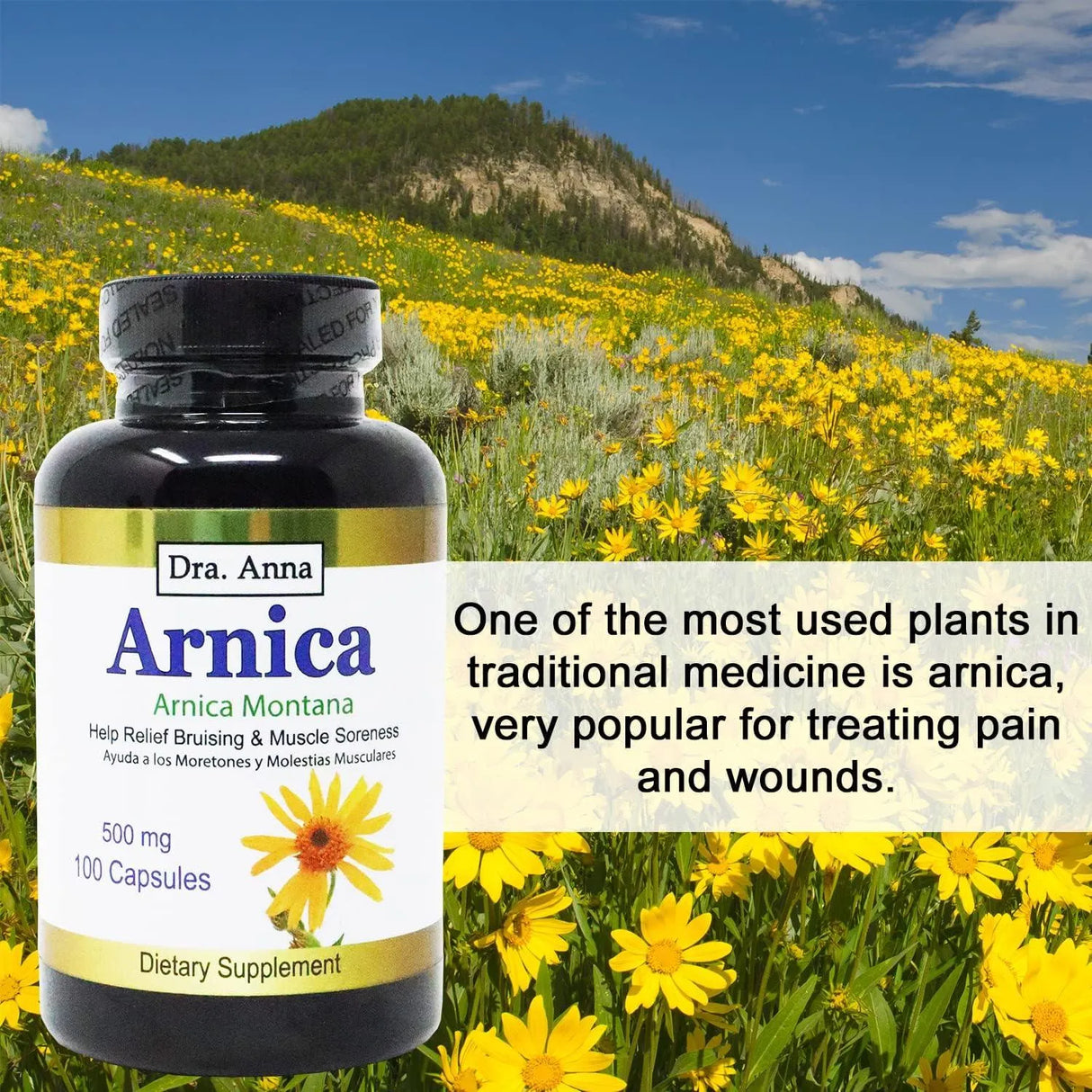 DRA. ANNA - Dra. Anna Arnica Montana 500Mg. 100 Capsulas - The Red Vitamin MX - Suplementos Alimenticios - {{ shop.shopifyCountryName }}