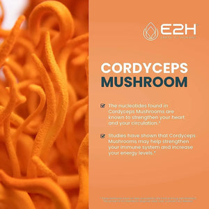 E2H - E2H Cordyceps Mushroom Extract 2 Fl. Oz. - The Red Vitamin MX - Suplementos Alimenticios - {{ shop.shopifyCountryName }}