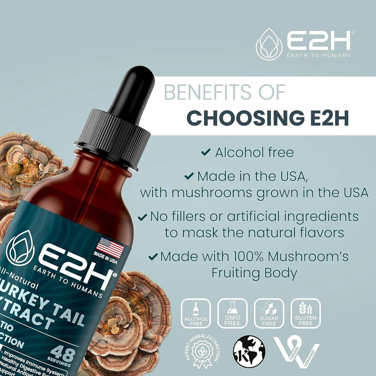 E2H - E2H EARTH TO HUMANS Turkey Tail Mushroom Extract 2 Fl.Oz. 2 Pack - The Red Vitamin MX - Suplementos Alimenticios - {{ shop.shopifyCountryName }}