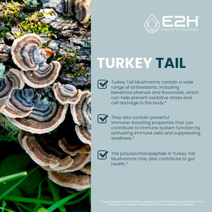 E2H - E2H EARTH TO HUMANS Turkey Tail Mushroom Extract 2 Fl.Oz. - The Red Vitamin MX - Suplementos Alimenticios - {{ shop.shopifyCountryName }}