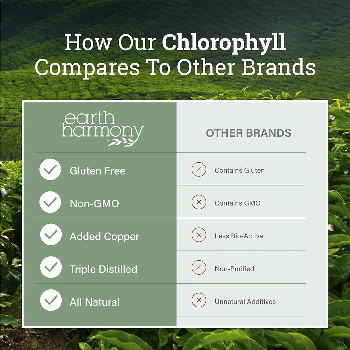 EARTH HARMONY NATURALS - Earth Harmony Naturals Organic Chlorophyll Liquid Drops 2 Fl.Oz. - The Red Vitamin MX - Suplementos Alimenticios - {{ shop.shopifyCountryName }}