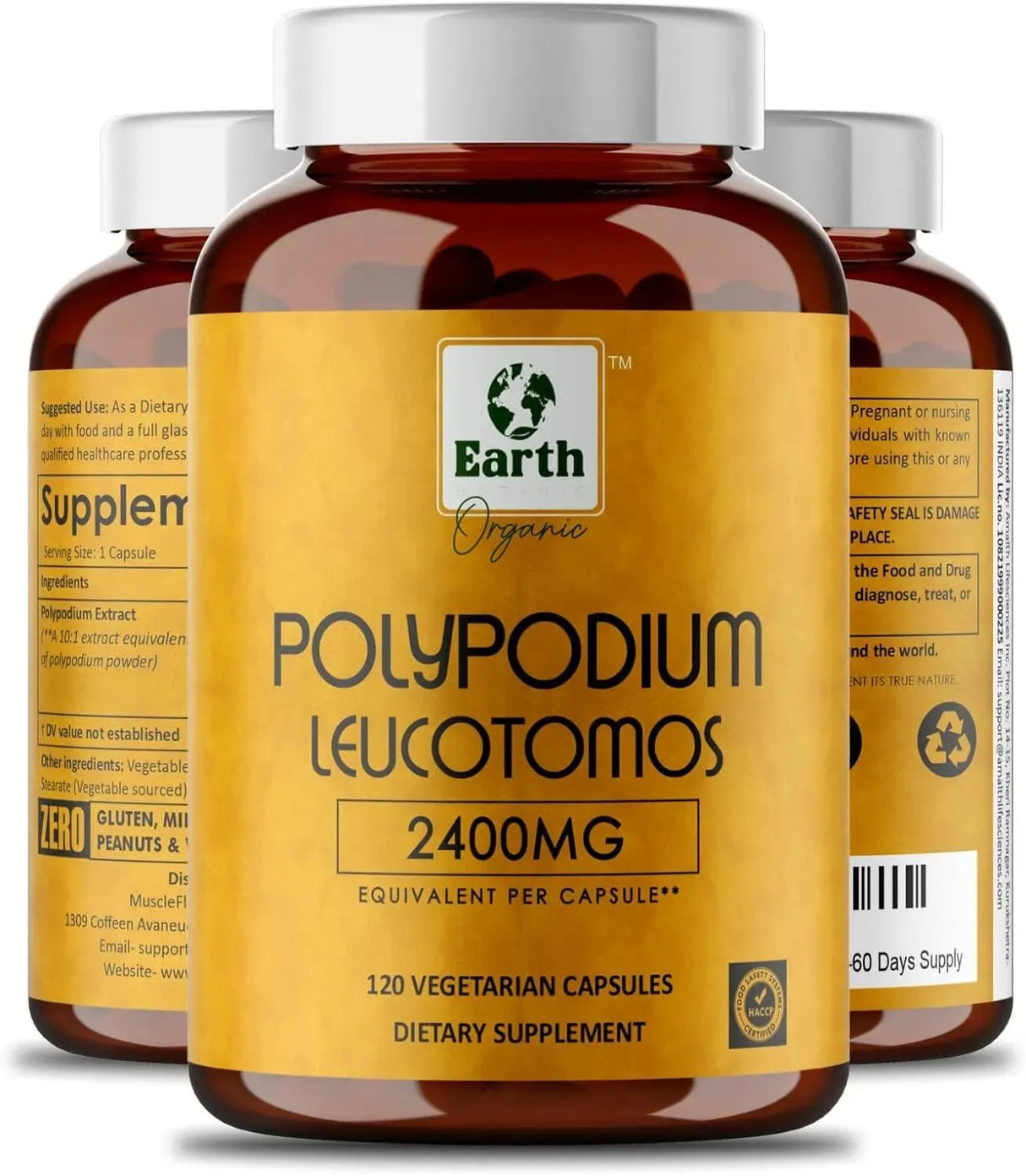 EARTH ORGANIC - Earth Organic Polypodium Leucotomos Extract 2400Mg. 120 Capsulas - The Red Vitamin MX - Suplementos Alimenticios - {{ shop.shopifyCountryName }}