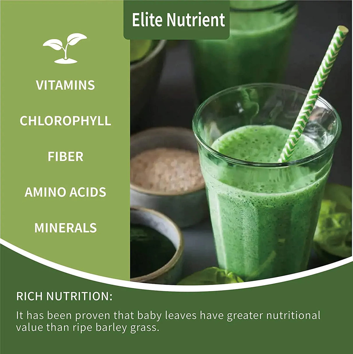 ELITE NUTRITION - Elite Nutrient Organic Spirulina Powder 240Gr. - The Red Vitamin MX - Suplementos Alimenticios - {{ shop.shopifyCountryName }}