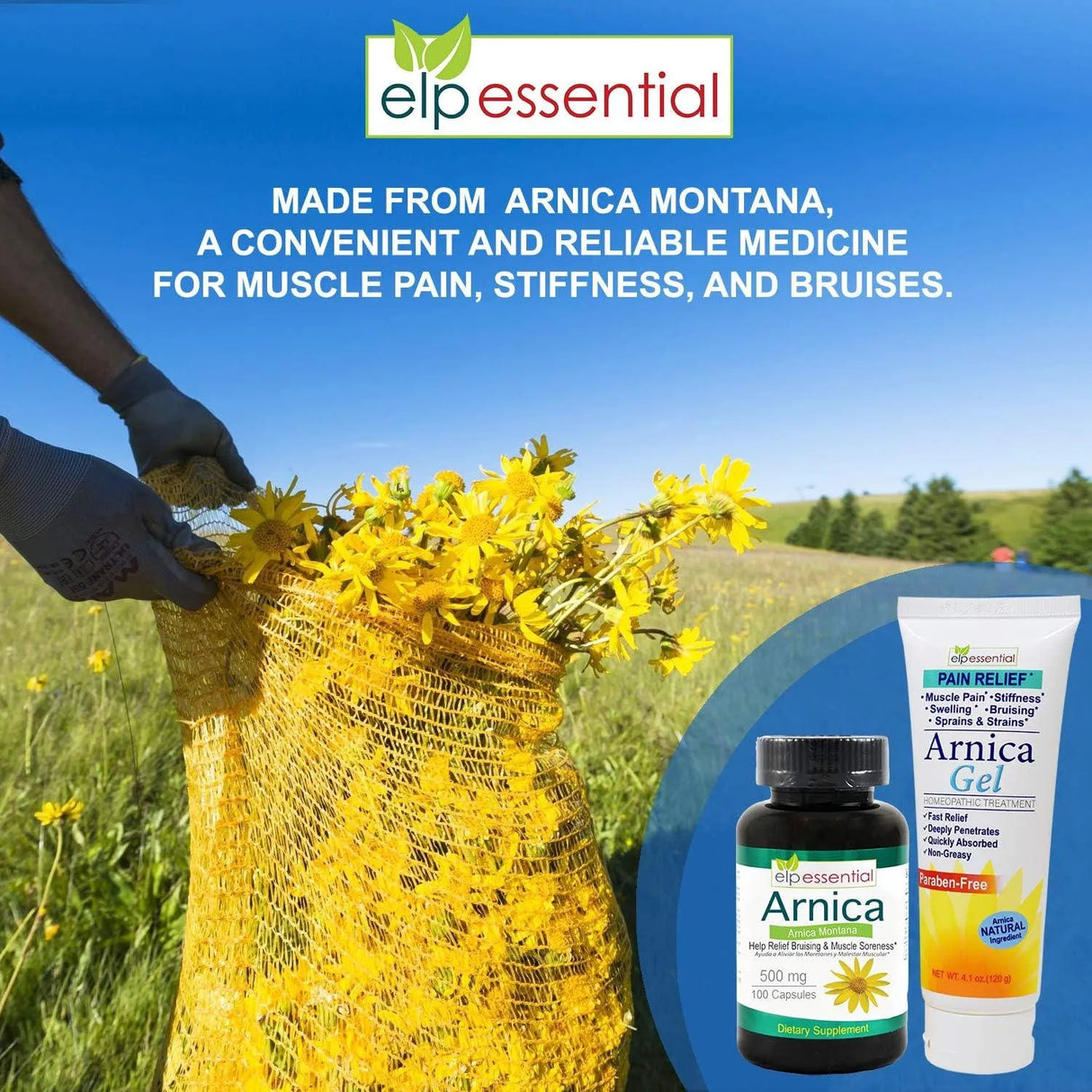 ELP ESSENTIAL - ELP ESSENTIAL Arnica Montana Pain Relief Gel 4.1 Oz. - The Red Vitamin MX - Suplementos Alimenticios - {{ shop.shopifyCountryName }}