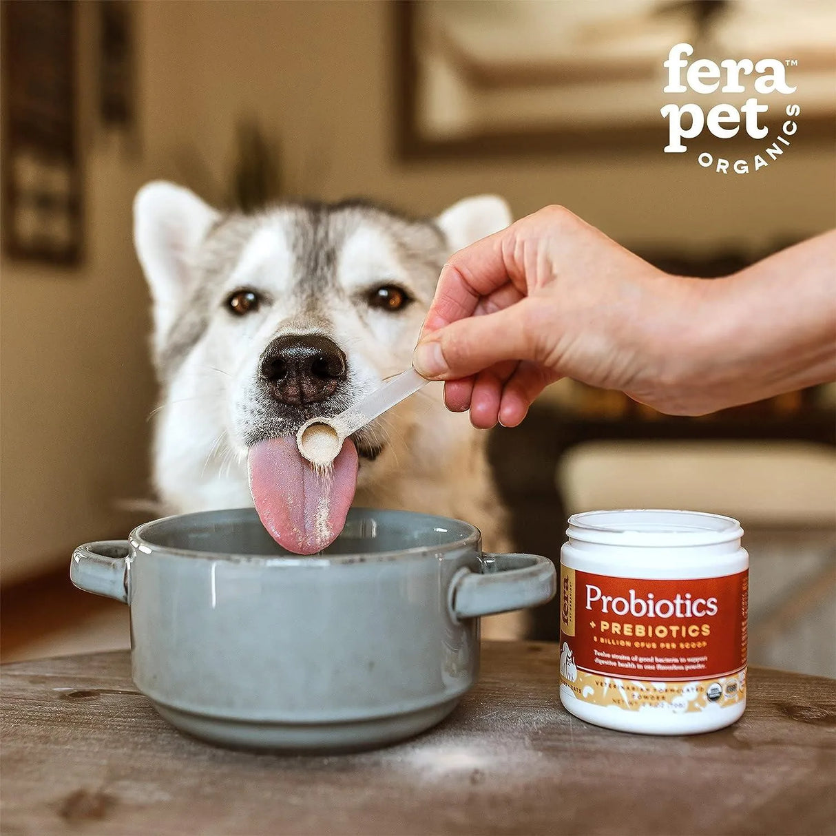 FERA - Fera Pets Organic Probiotics for Dogs & Cats 60 Cucharadas 72Gr. - The Red Vitamin MX - Probióticos Para Perros - {{ shop.shopifyCountryName }}