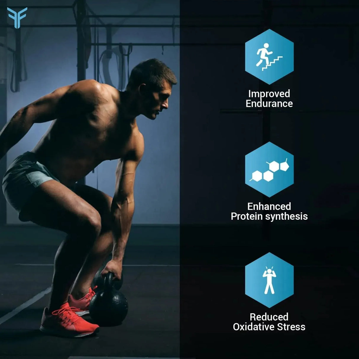 FIT AND FOCUSED - Fit and Focused HMB Beta-Hydroxy Beta-Methylbutyrate 120 Capsulas - The Red Vitamin MX - Suplementos Alimenticios - {{ shop.shopifyCountryName }}