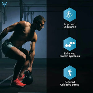 FIT AND FOCUSED - Fit and Focused HMB Beta-Hydroxy Beta-Methylbutyrate 120 Capsulas - The Red Vitamin MX - Suplementos Alimenticios - {{ shop.shopifyCountryName }}