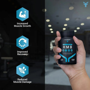 FIT AND FOCUSED - Fit and Focused HMB Beta-Hydroxy Beta-Methylbutyrate 120 Capsulas - The Red Vitamin MX - Suplementos Alimenticios - {{ shop.shopifyCountryName }}