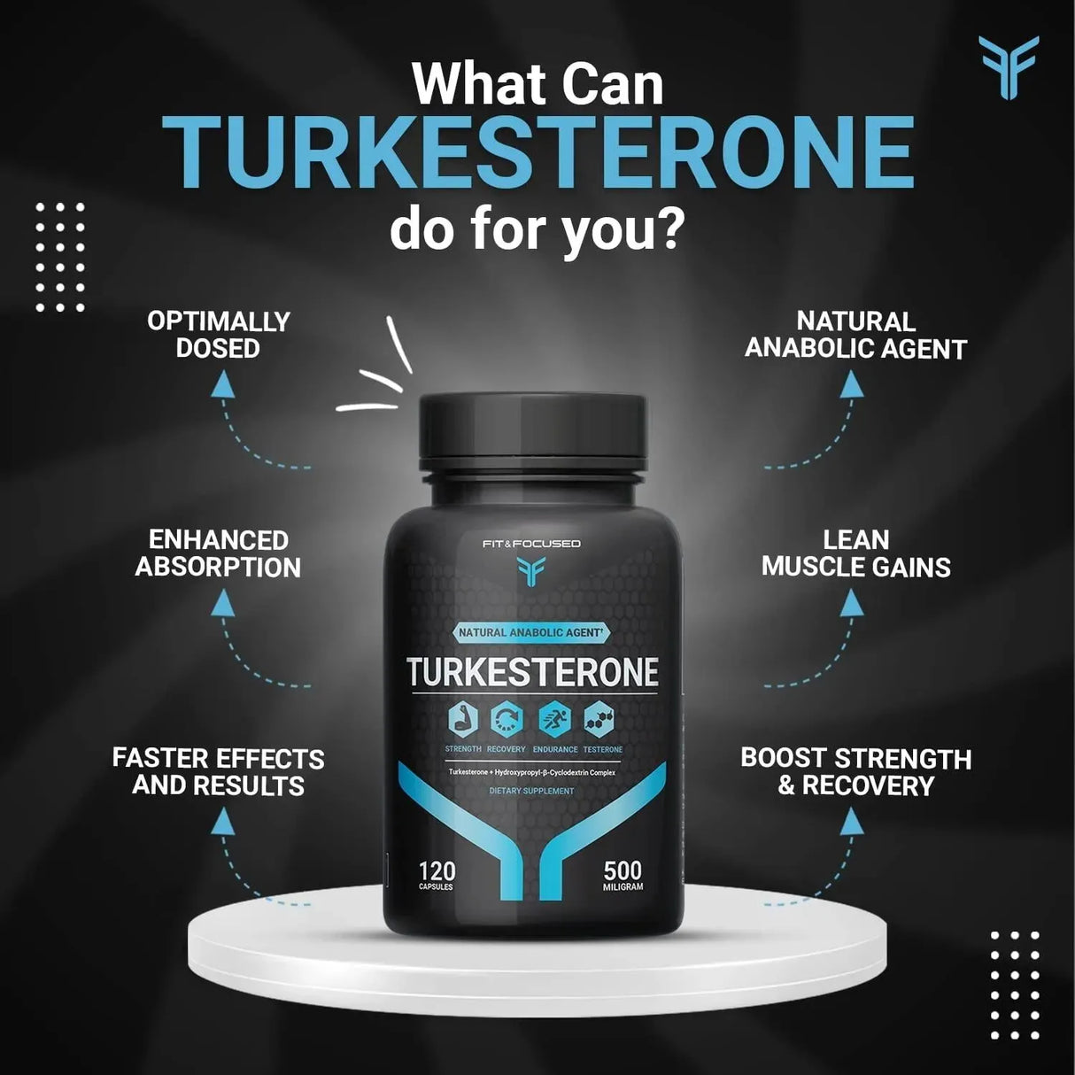 FIT AND FOCUSED - Fit and Focused Turkesterone 500Mg. 120 Capsulas - The Red Vitamin MX - Suplementos Alimenticios - {{ shop.shopifyCountryName }}