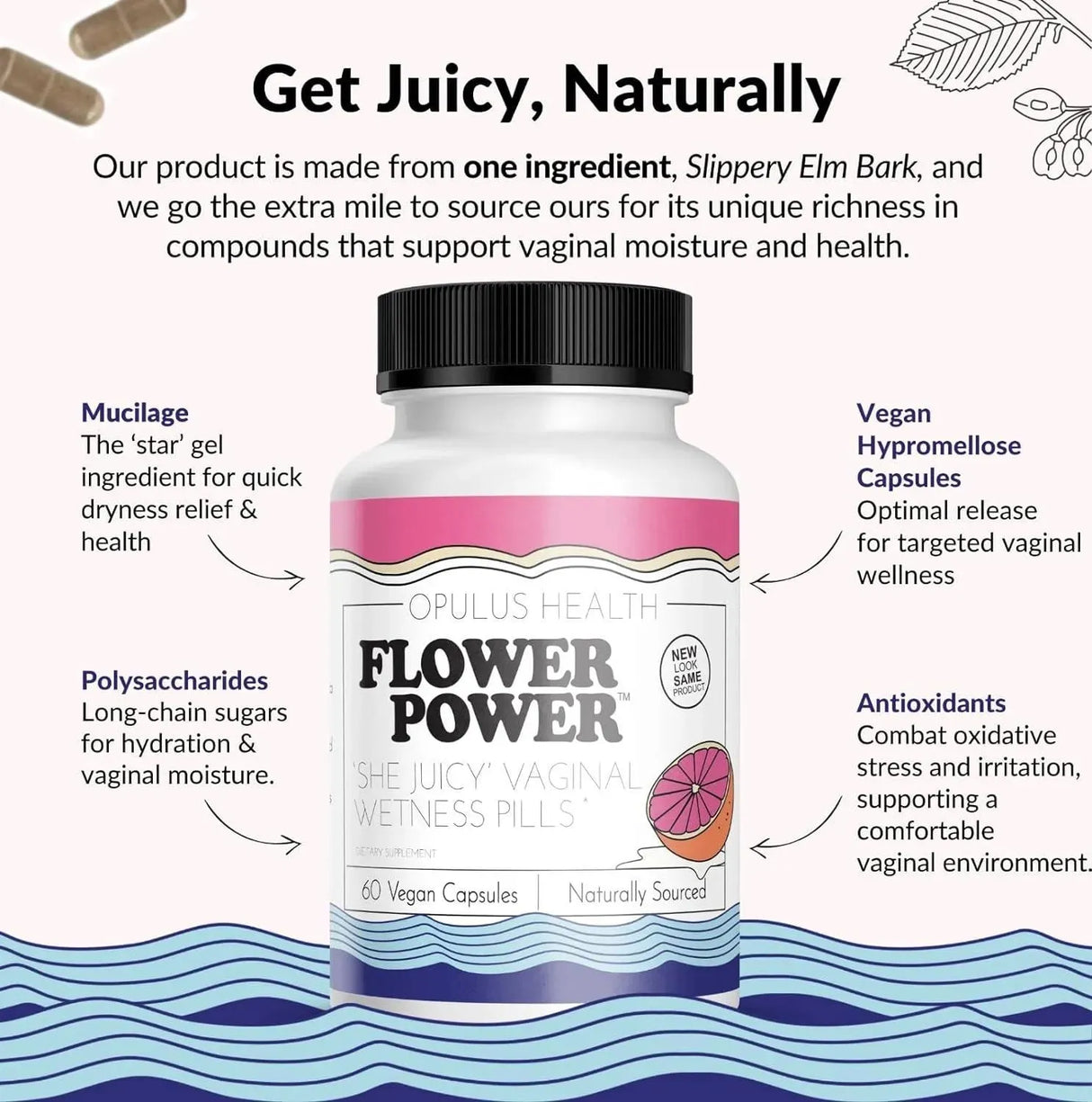 FLOWER POWER - Flower Power Vaginal Moisturizer 60 Capsulas - The Red Vitamin MX - Hidratantes Vaginales - {{ shop.shopifyCountryName }}