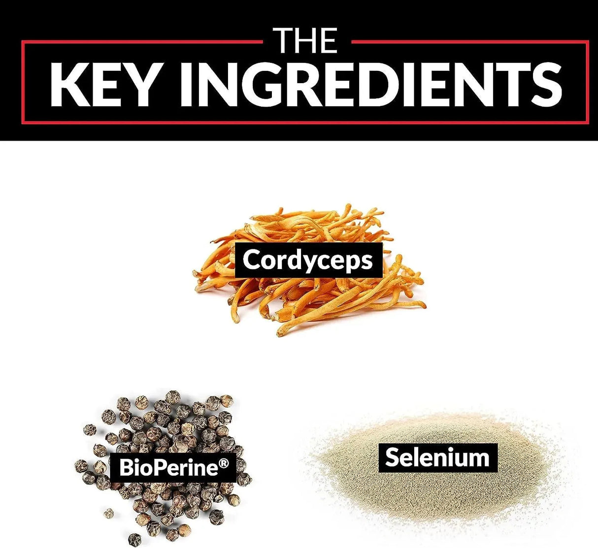 FORCE FACTOR - Force Factor Cordyceps 1000Mg. 60 Capsulas 2 Pack - The Red Vitamin MX - Suplementos Alimenticios - {{ shop.shopifyCountryName }}