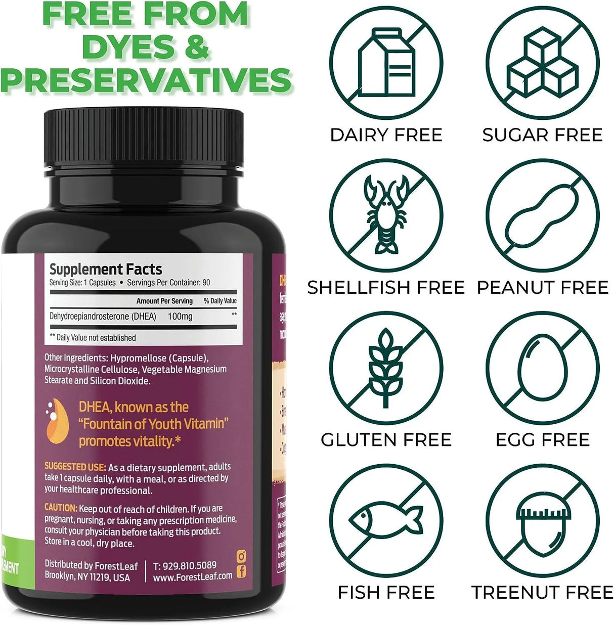 FOREST LEAF - Forest Leaf DHEA 100Mg. 90 Capsulas - The Red Vitamin MX - Suplementos Alimenticios - {{ shop.shopifyCountryName }}