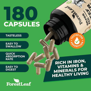 FOREST LEAF - ForestLeaf Grass Fed Beef Liver 750Mg. 180 Capsulas - The Red Vitamin MX - Suplementos Alimenticios - {{ shop.shopifyCountryName }}