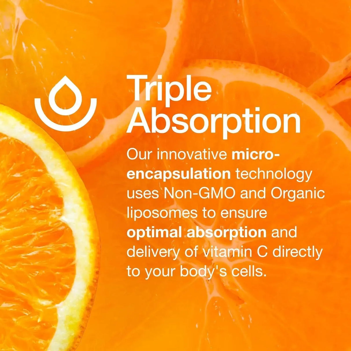 FRESH NUTRITION - Fresh Nutrition Liposomal Vitamin C 1500Mg. 90 Capsulas - The Red Vitamin MX - Suplementos Alimenticios - {{ shop.shopifyCountryName }}