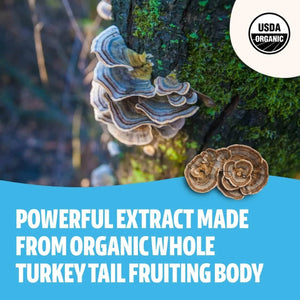 FRESHCAP - FreshCap Organic Turkey Tail Mushroom Extract Powder 60Gr. - The Red Vitamin MX - Suplementos Alimenticios - {{ shop.shopifyCountryName }}