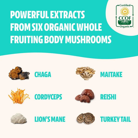 FRESHCAP - FreshCap Ultimate Mushroom Complex - The Red Vitamin MX - Suplementos Alimenticios - {{ shop.shopifyCountryName }}