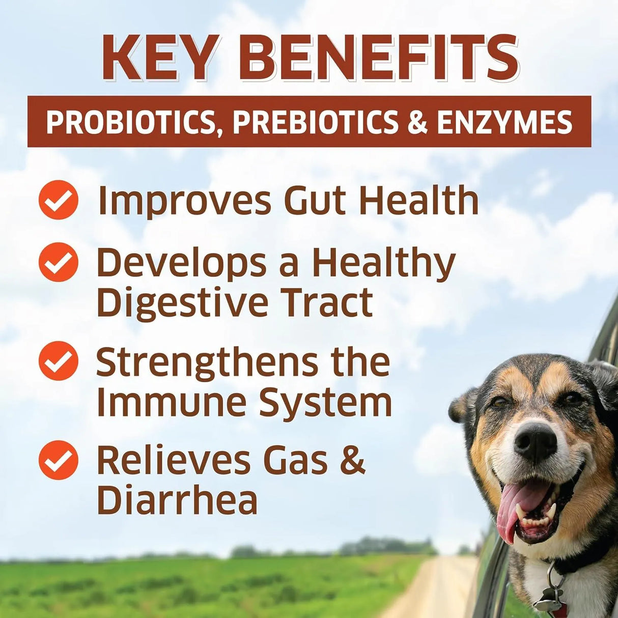 FUR BELLY - Fur Belly Probiotics for Dogs 120 Masticables - The Red Vitamin MX - Probióticos Para Perros - {{ shop.shopifyCountryName }}