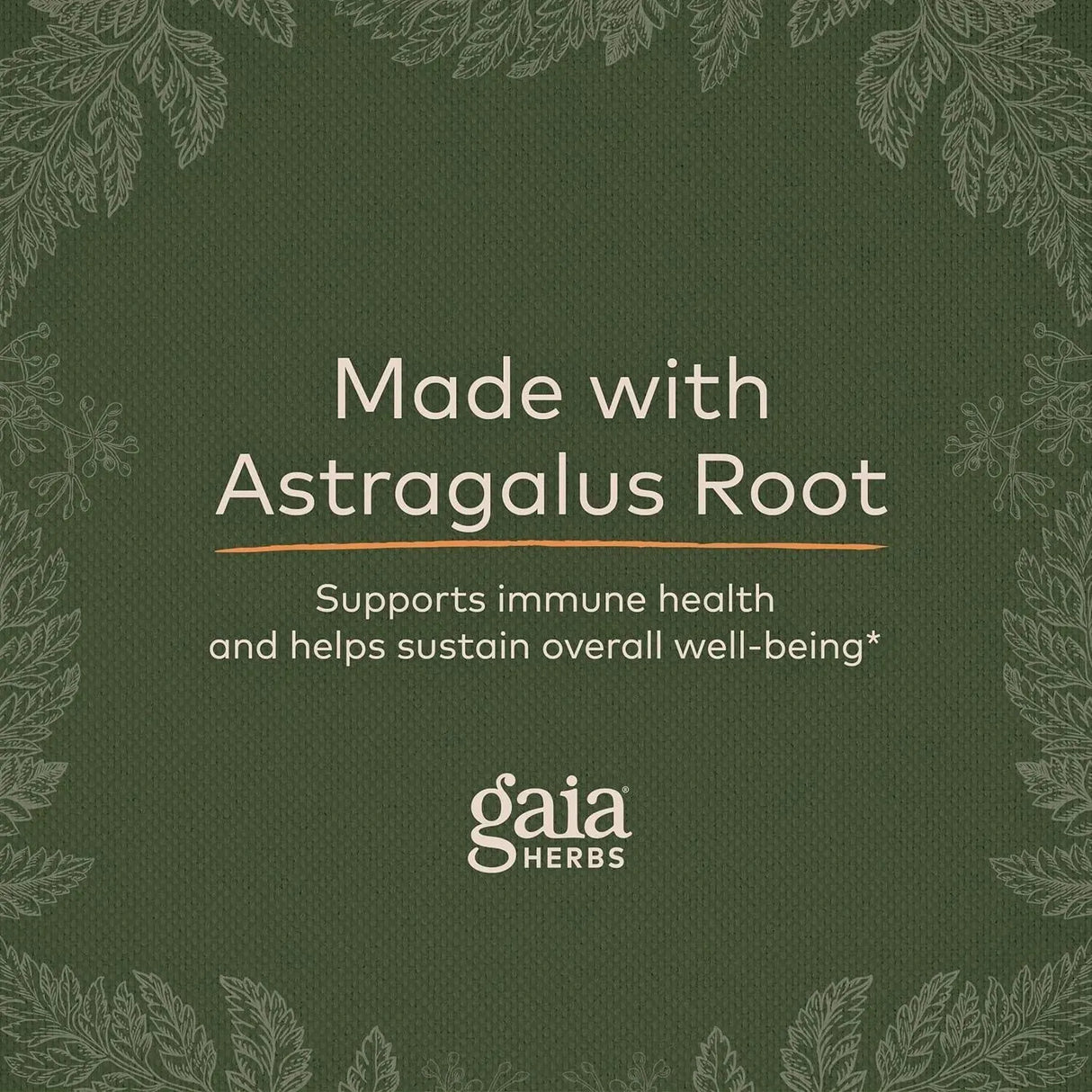 GAIA HERBS - Gaia Herbs Astragalus Supreme 60 Capsulas - The Red Vitamin MX - Suplementos Alimenticios - {{ shop.shopifyCountryName }}