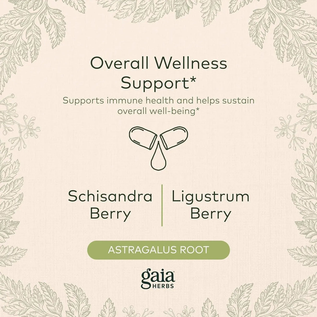 GAIA HERBS - Gaia Herbs Astragalus Supreme 60 Capsulas - The Red Vitamin MX - Suplementos Alimenticios - {{ shop.shopifyCountryName }}