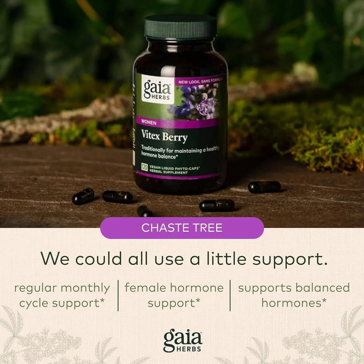 GAIA HERBS - Gaia Herbs Baya Casto Berry 120 Capsulas - The Red Vitamin MX - Suplementos Alimenticios - {{ shop.shopifyCountryName }}