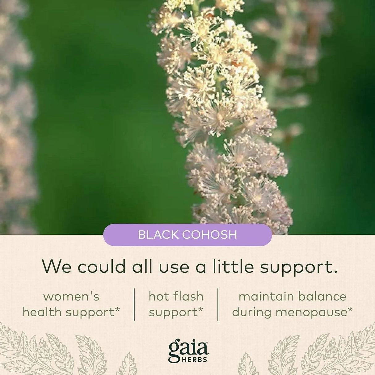 GAIA HERBS - Gaia Herbs Black Cohosh 60 Capsulas - The Red Vitamin MX - Suplementos Alimenticios - {{ shop.shopifyCountryName }}