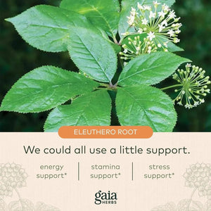 GAIA HERBS - Gaia Herbs Eleuthero Root 60 Capsulas - The Red Vitamin MX - Suplementos Alimenticios - {{ shop.shopifyCountryName }}