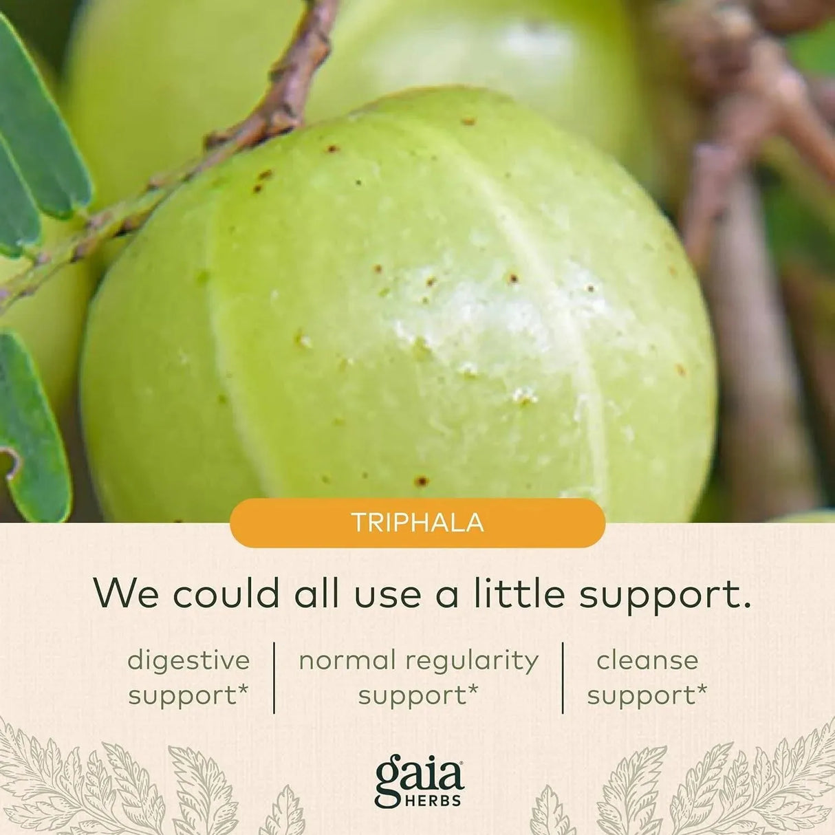 GAIA HERBS - Gaia Herbs Triphala Fruit Supports Digestive Health 60 Capsulas - The Red Vitamin MX - Suplementos Alimenticios - {{ shop.shopifyCountryName }}