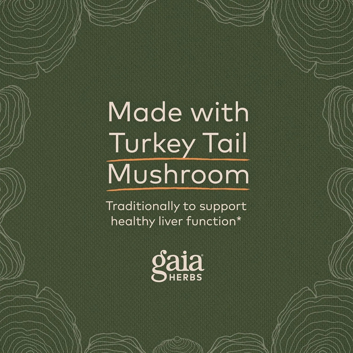 GAIA HERBS - Gaia Herbs Turkey Tail Mushroom 40 Capsulas - The Red Vitamin MX - Suplementos Alimenticios - {{ shop.shopifyCountryName }}