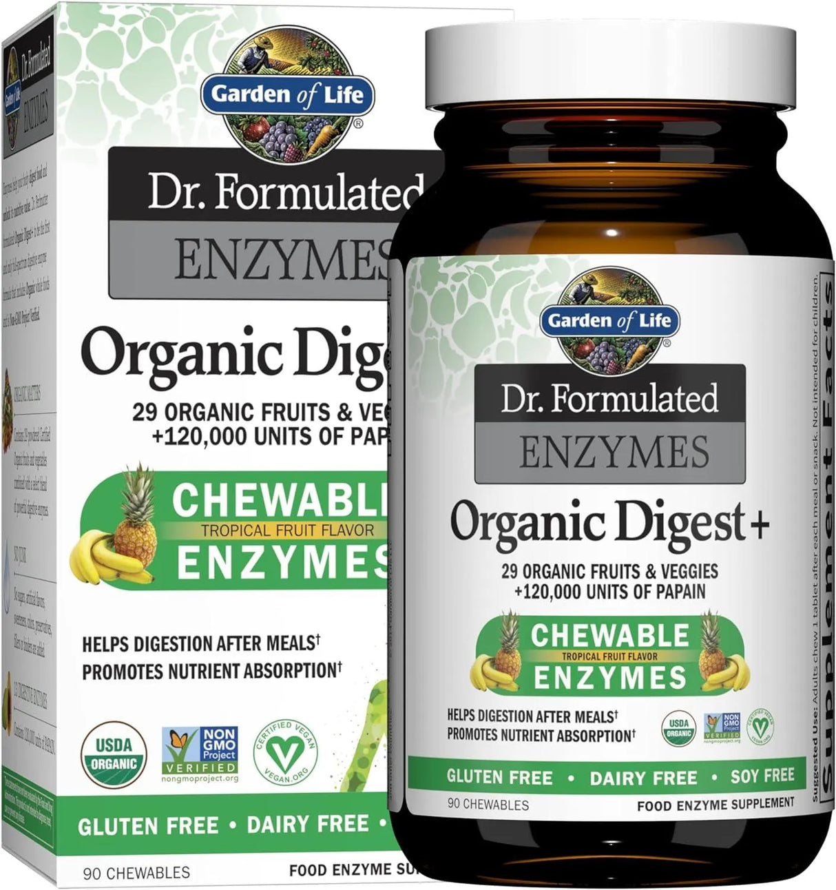 GARDEN OF LIFE - Garden of Life Dr Formulated Digestive Enzymes Organic Digest 90 Tabletas Masticables - The Red Vitamin MX - Suplementos Alimenticios - {{ shop.shopifyCountryName }}